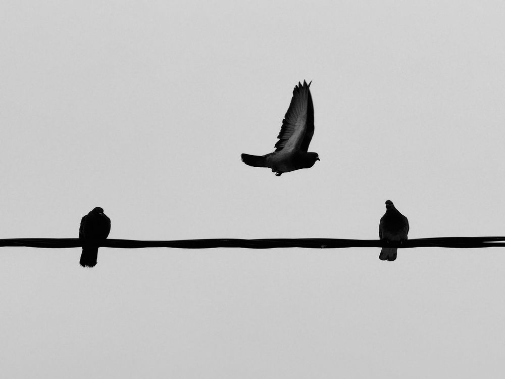 Photograph by Таисия Мочалова