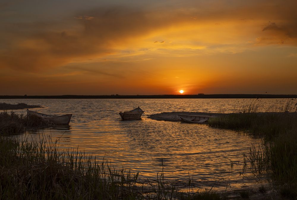 Фотография автора Анатолий Макоедов