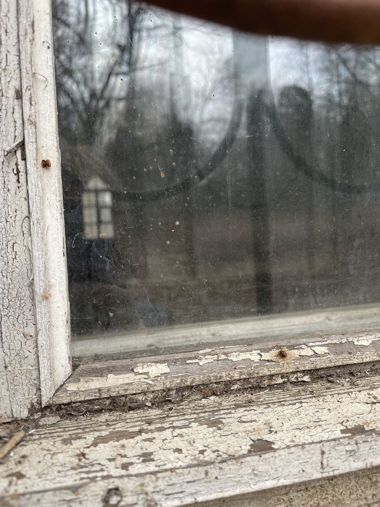 Photograph by Татьяна Курганская