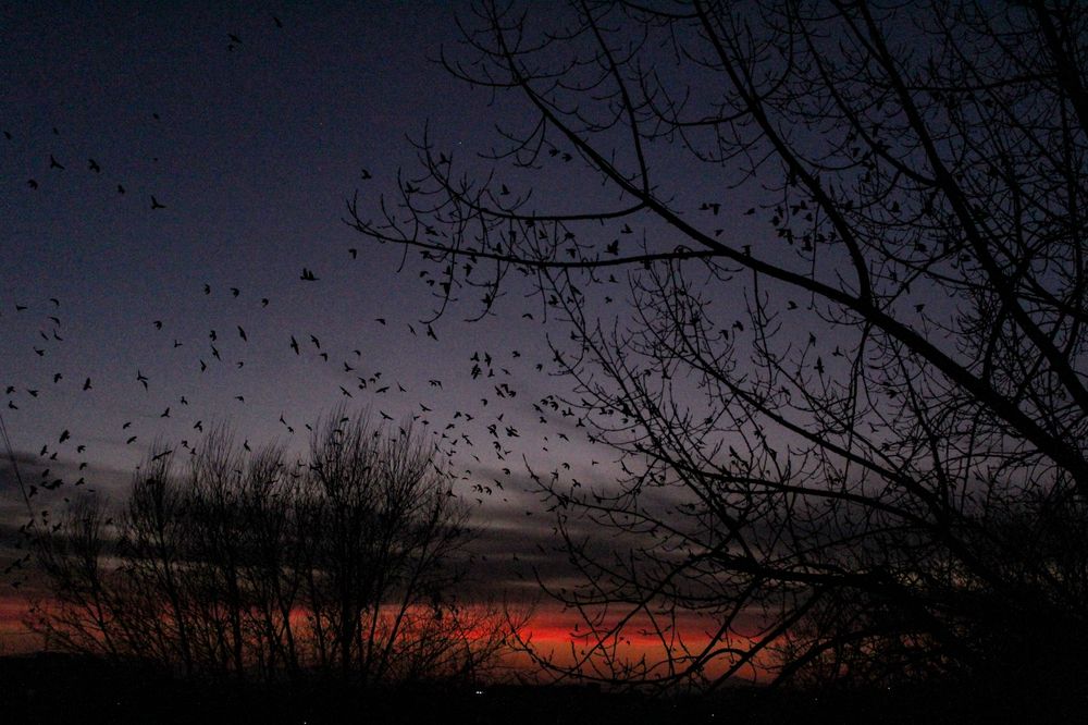 Photograph by Sose Voskanyan
