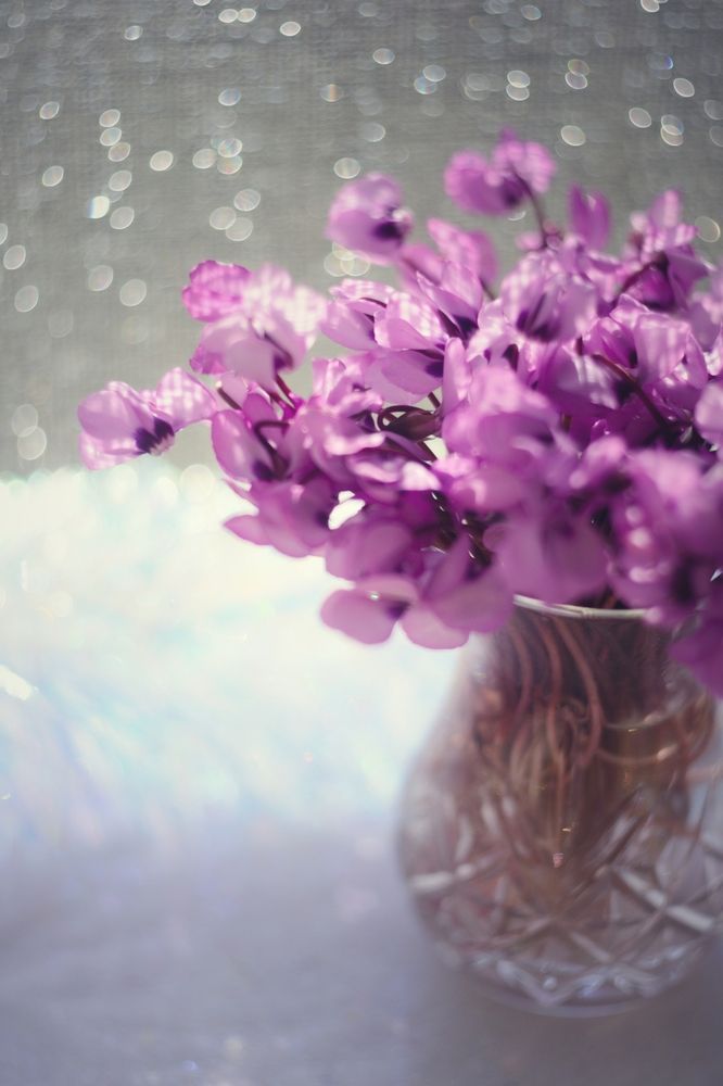 Photograph by Magic Helios