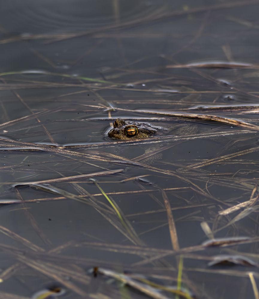 Photograph by Мария Ирешева