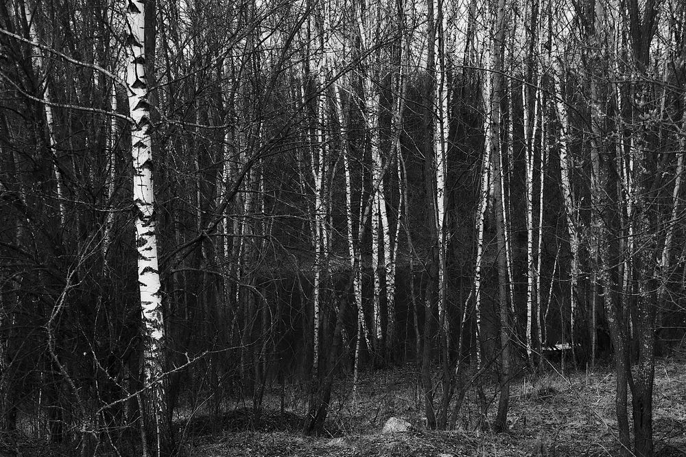 Photograph by Екатерина Александровна