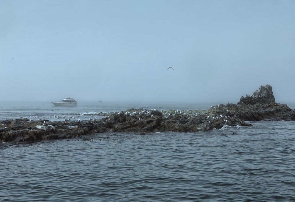 Photograph by Туева Наталья