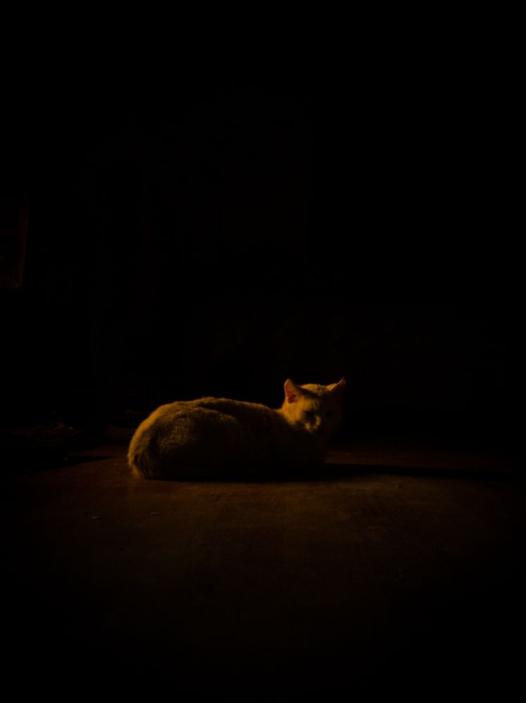Photograph by Головенко Олена
