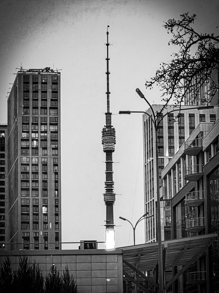 Photograph by Диана