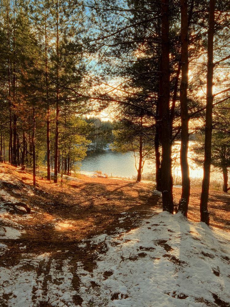 Photograph by Татьяна