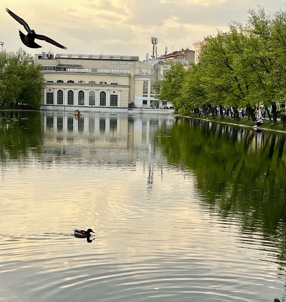 Photograph by Виктория Ляпина