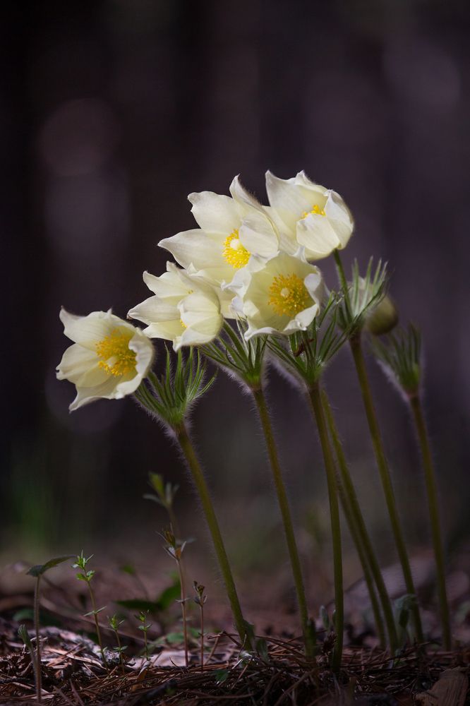 Photograph by Павел Гавриков