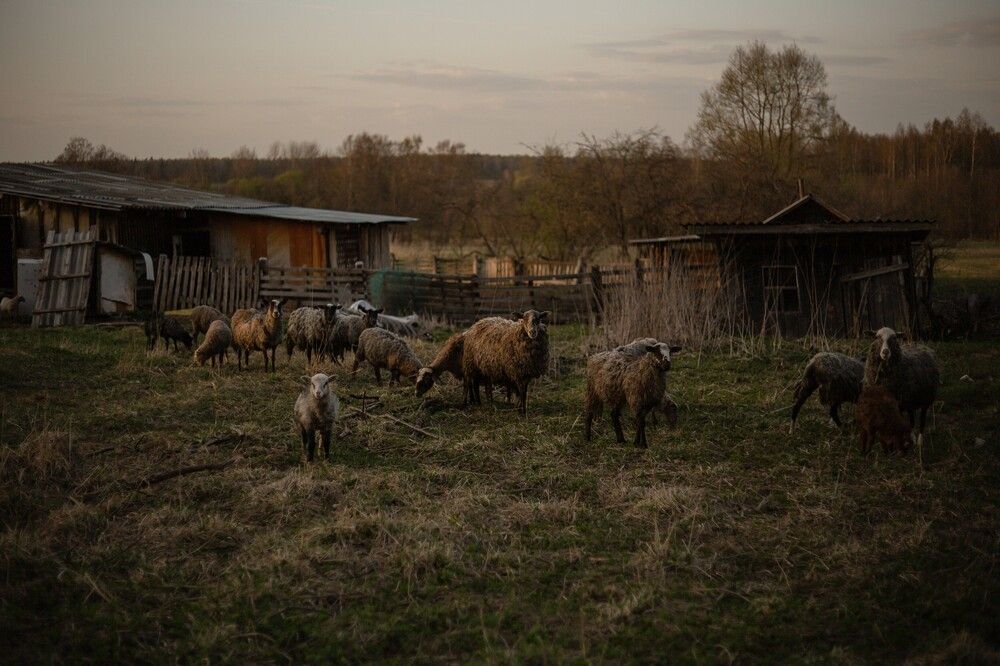 Photograph by Софья Титова