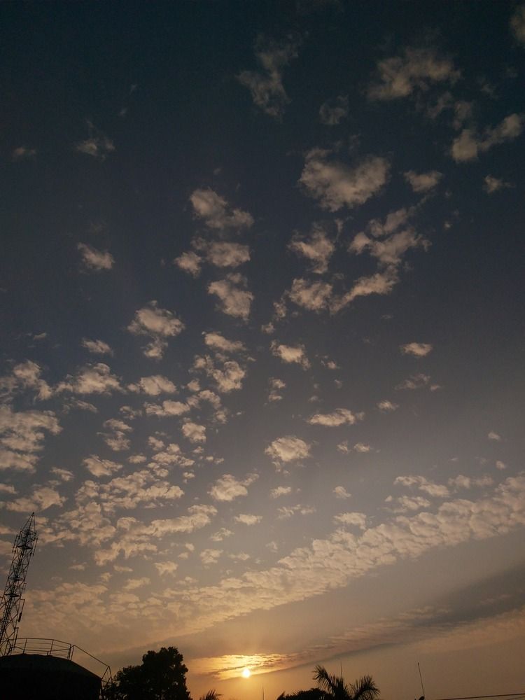 Photo #12159680