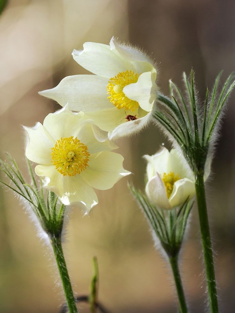 Photograph by Павел Гавриков