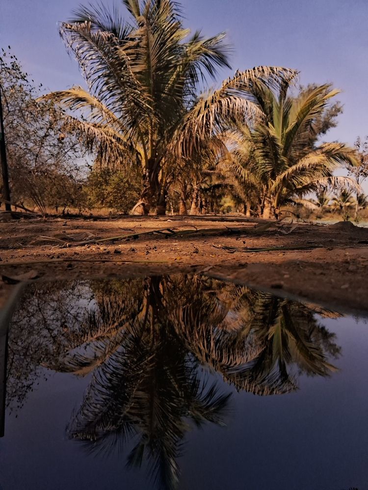 Photograph by PARTH GHODKE