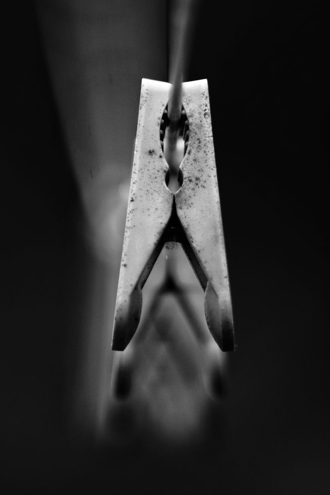 Фотография автора Pavel Levashov