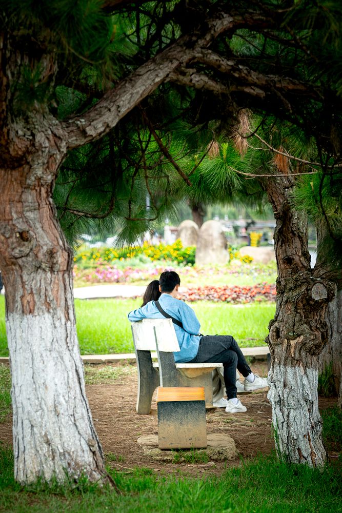 Фотография автора TRAN VO QUANG PHU