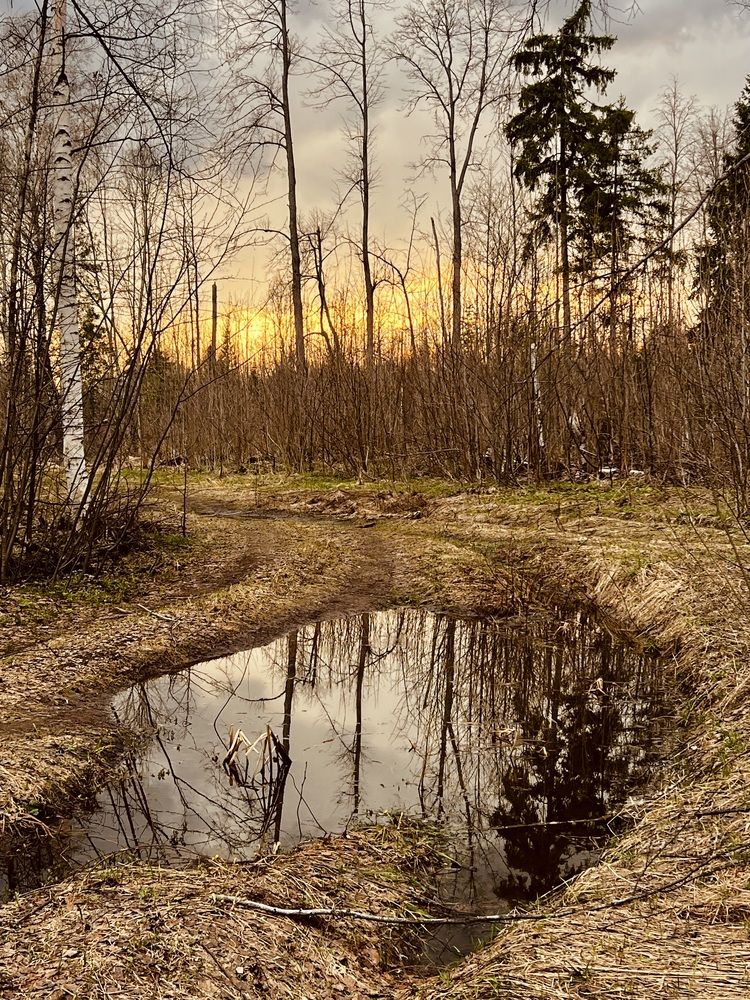 Photograph by Татьяна Михайловна
