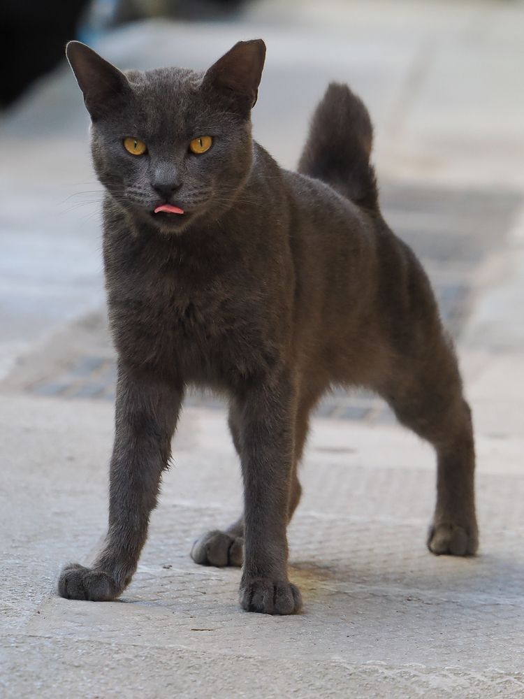 Photograph by Георгий Акопджанов