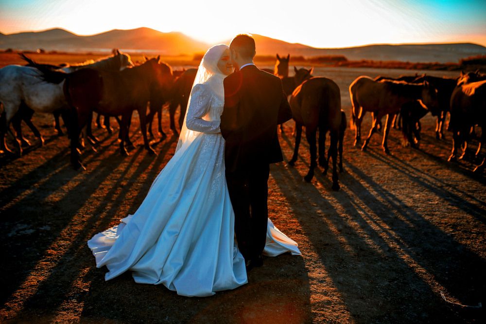 Photograph by DAMOUN POURNEMATI