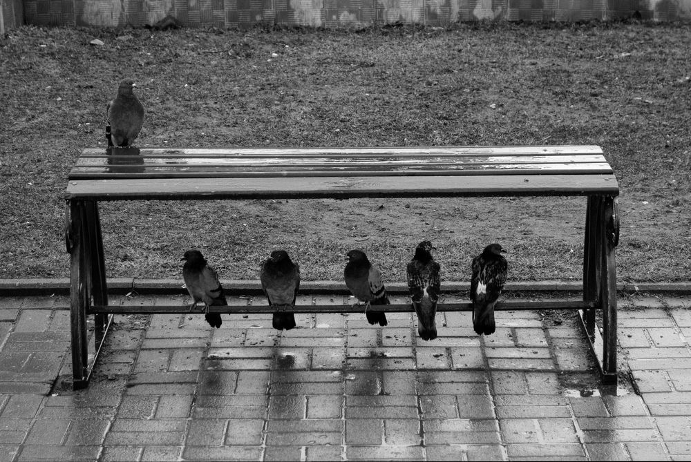 Photograph by Роман