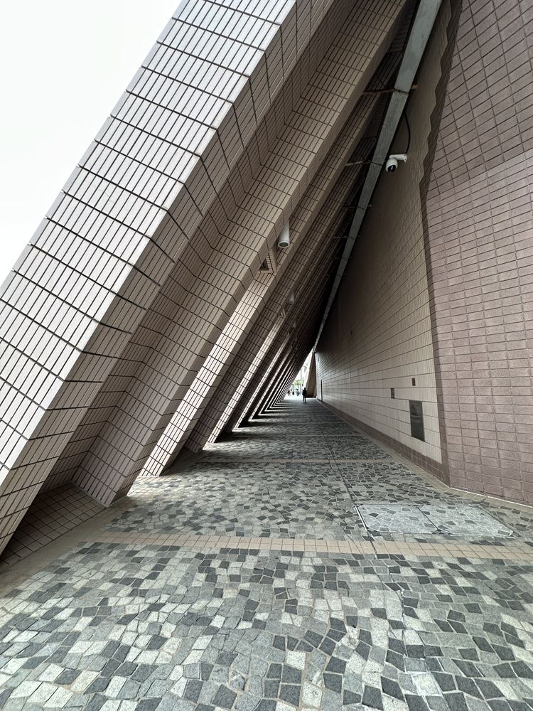 Photograph by Вера