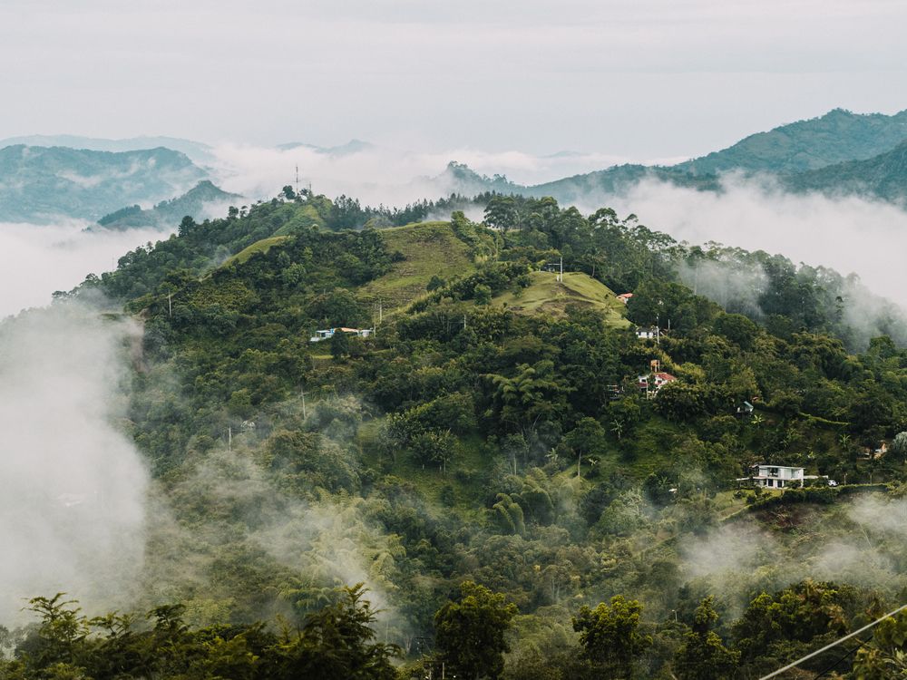 La montaña de niebla
