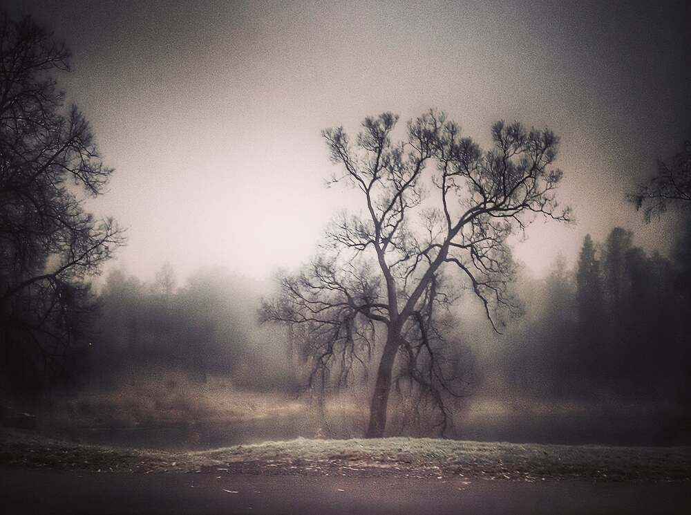 Photograph by Oksana Smorodina