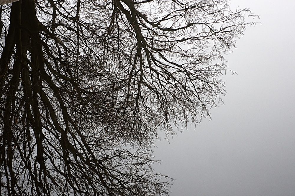 Photograph by Oksana Smorodina