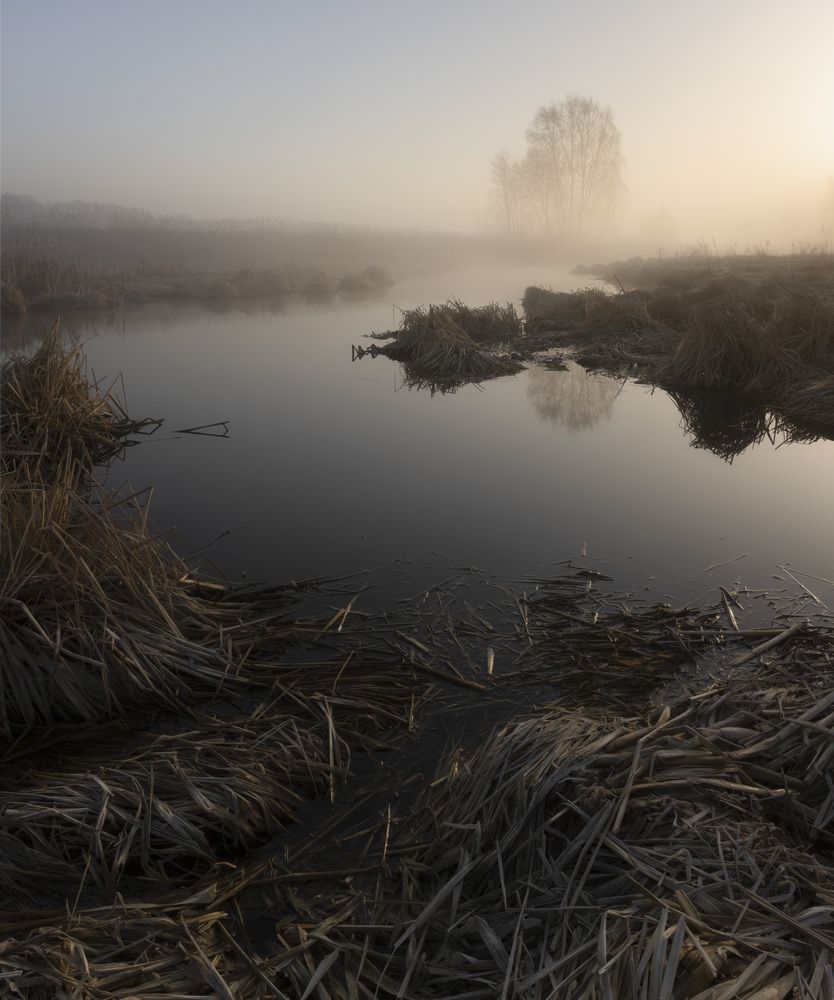 Фотография автора Бонина Ольга