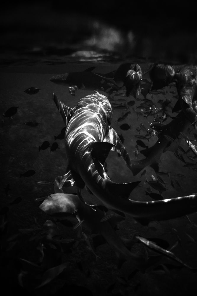 Photograph by Evgeniia Zorina