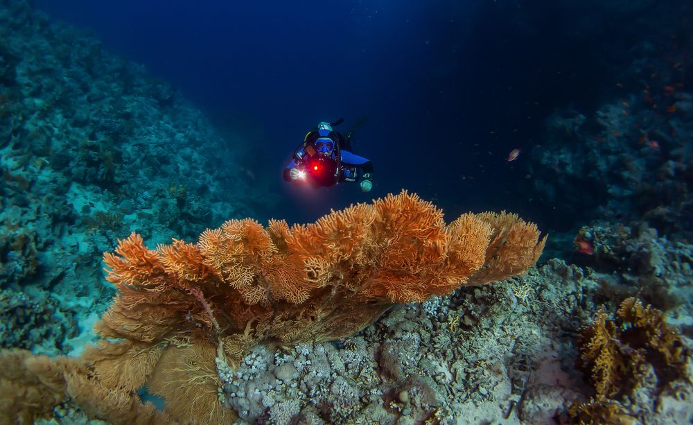 Photograph by Виталий Новиков