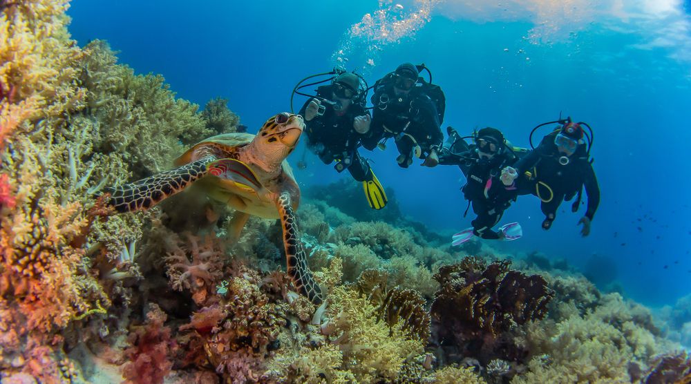 Photograph by Виталий Новиков