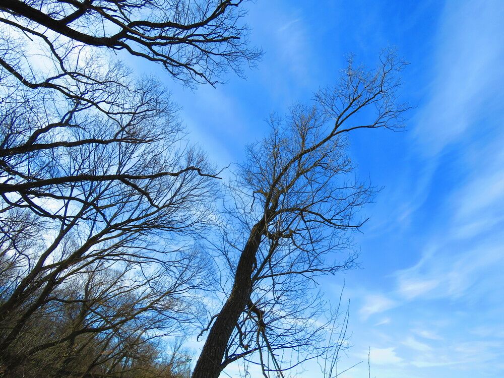 Photograph by Оксана Малахова