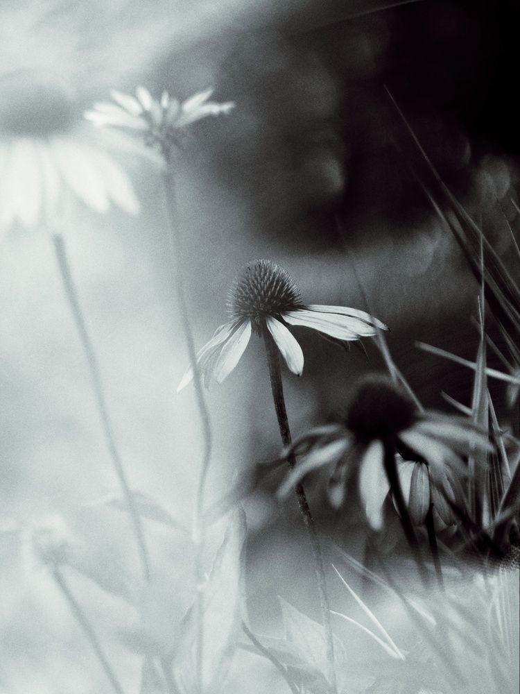 Photograph by Анна Любимова