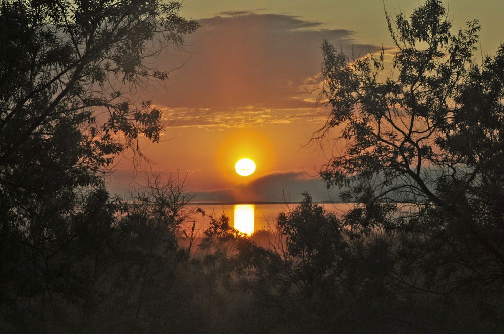 Photograph by Евгений Самулев