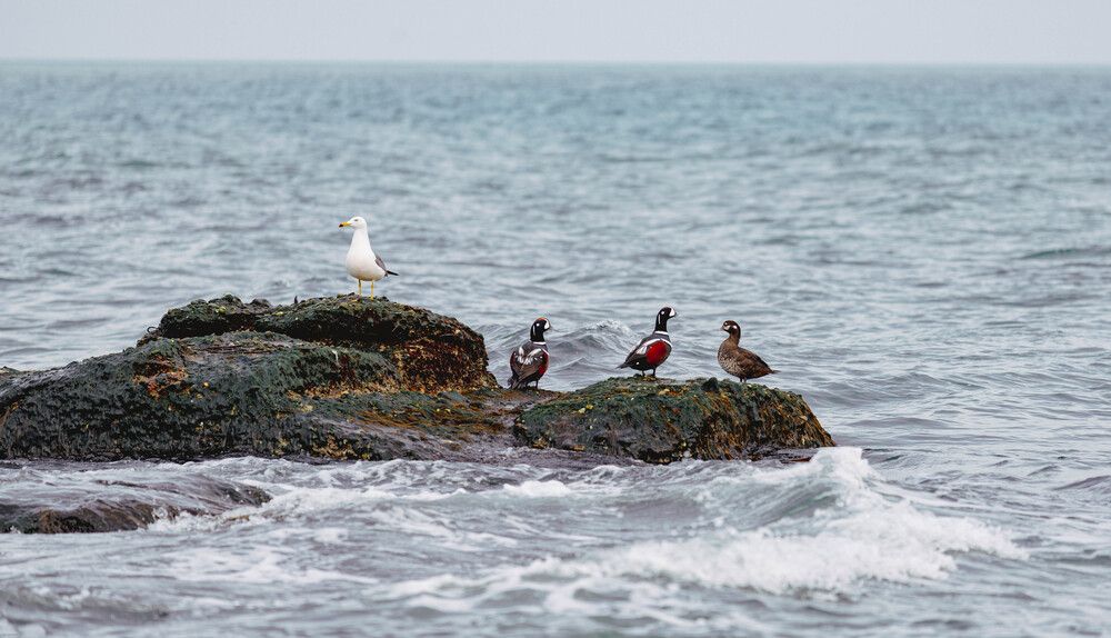 Photograph by Владимир