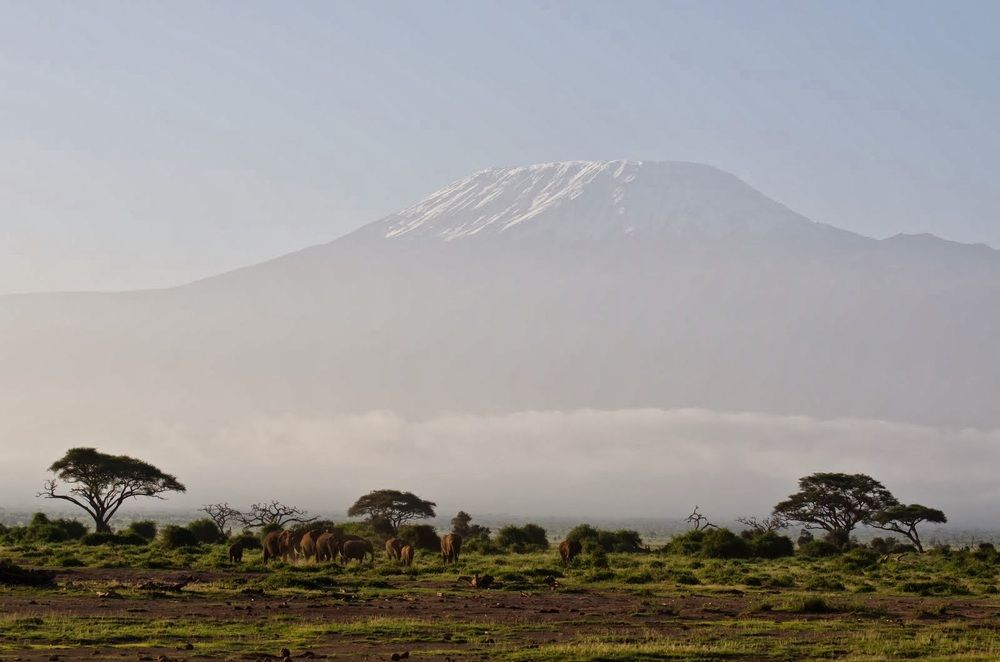 Photograph by Татьяна