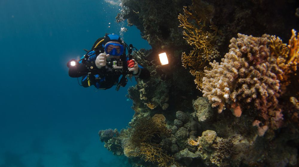 Photograph by Виталий Новиков