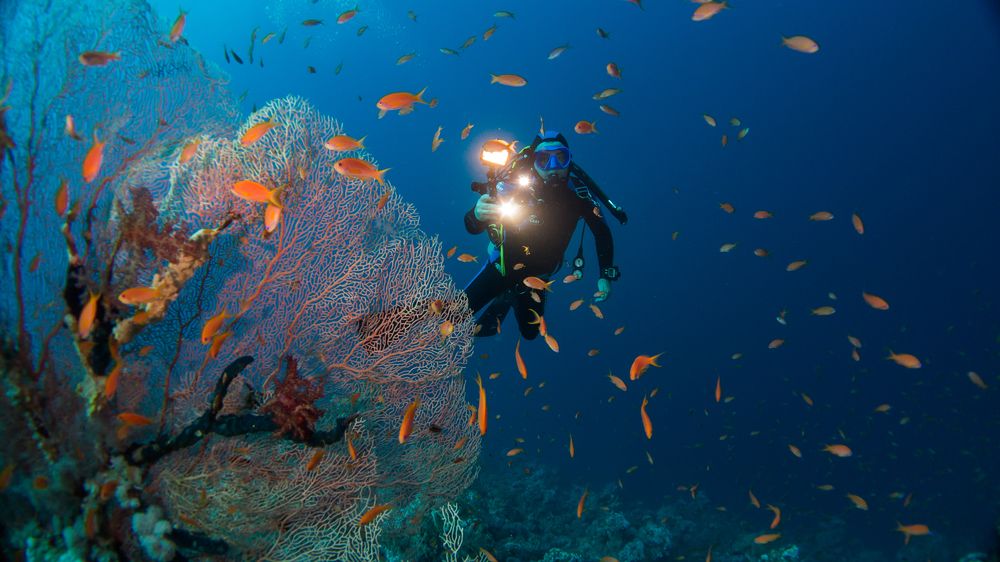 Photograph by Виталий Новиков