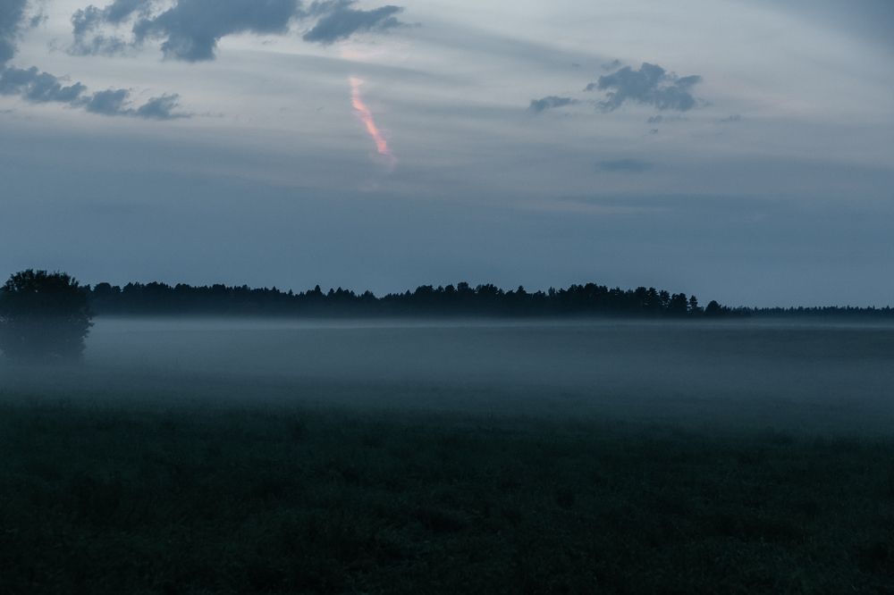 Photograph by Надежда Онищенко