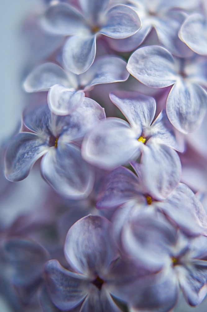 Photograph by Elena Chilikina