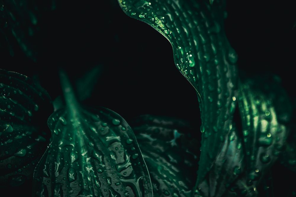 Photograph by Elena Chilikina