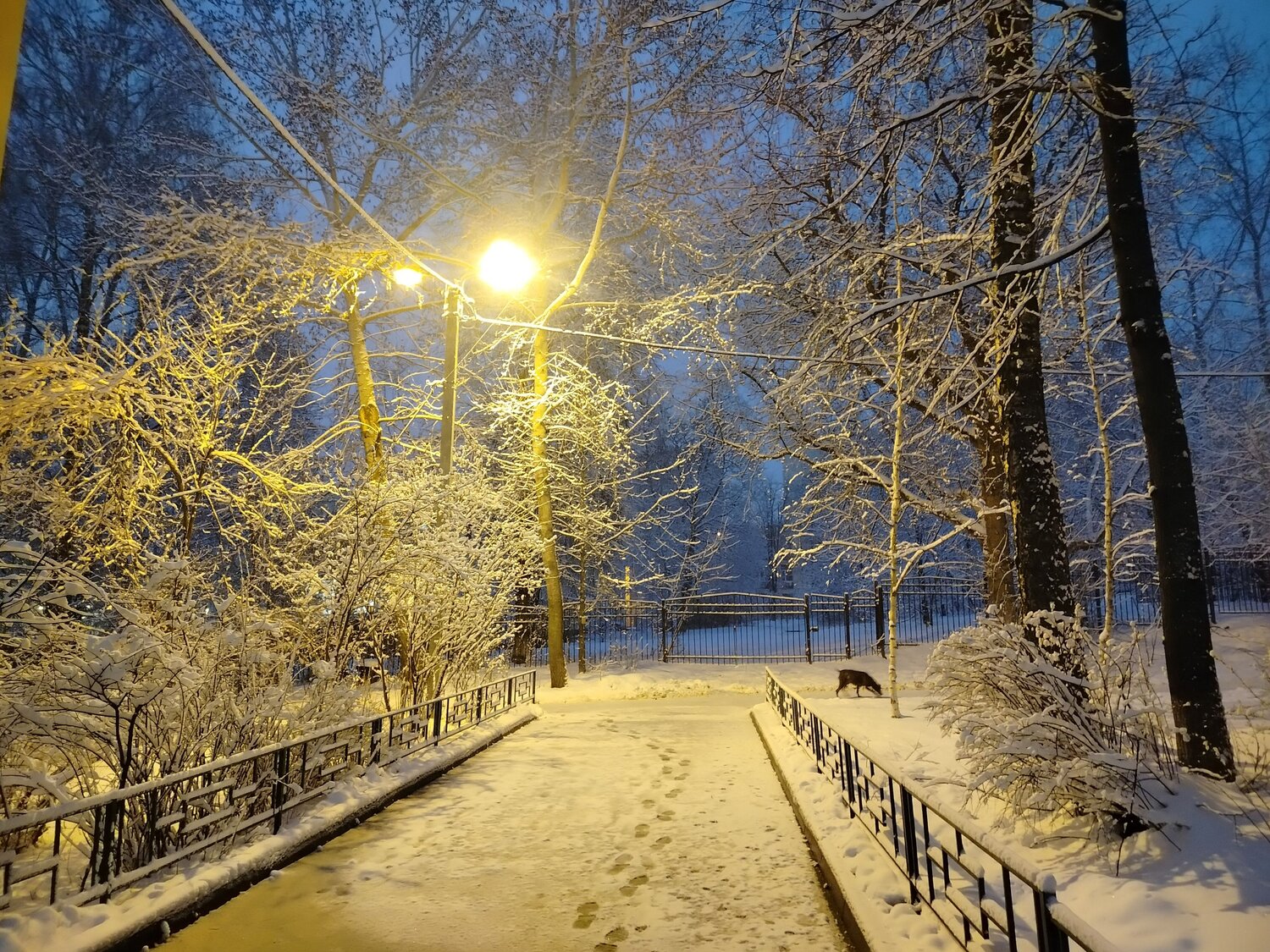 Зимний Апрель