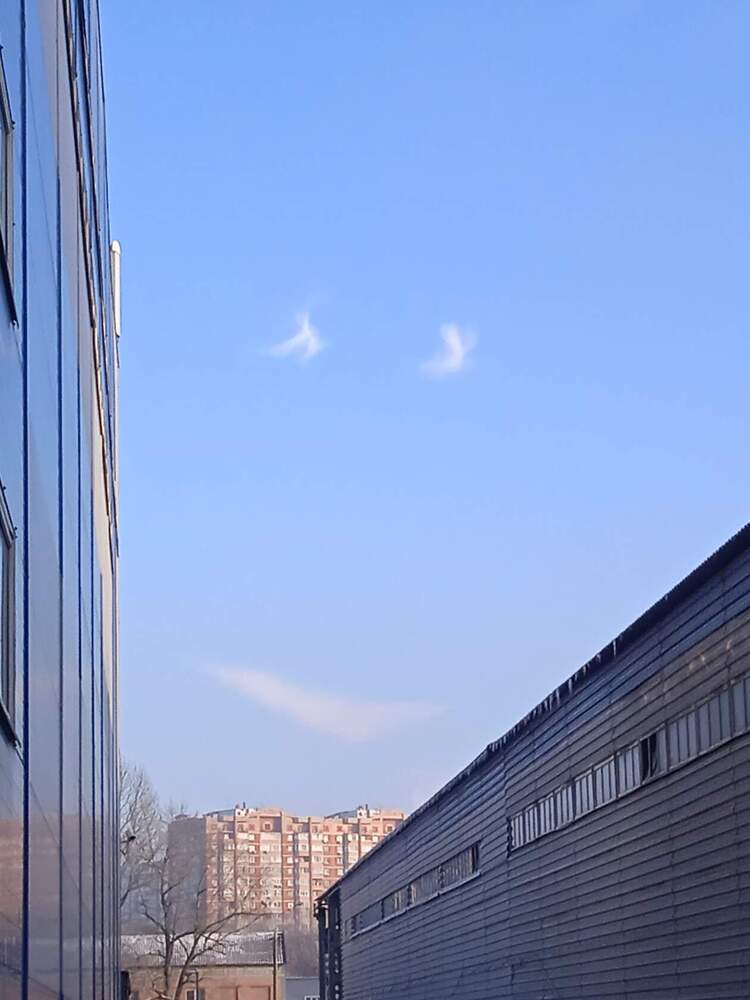 Доброе утро