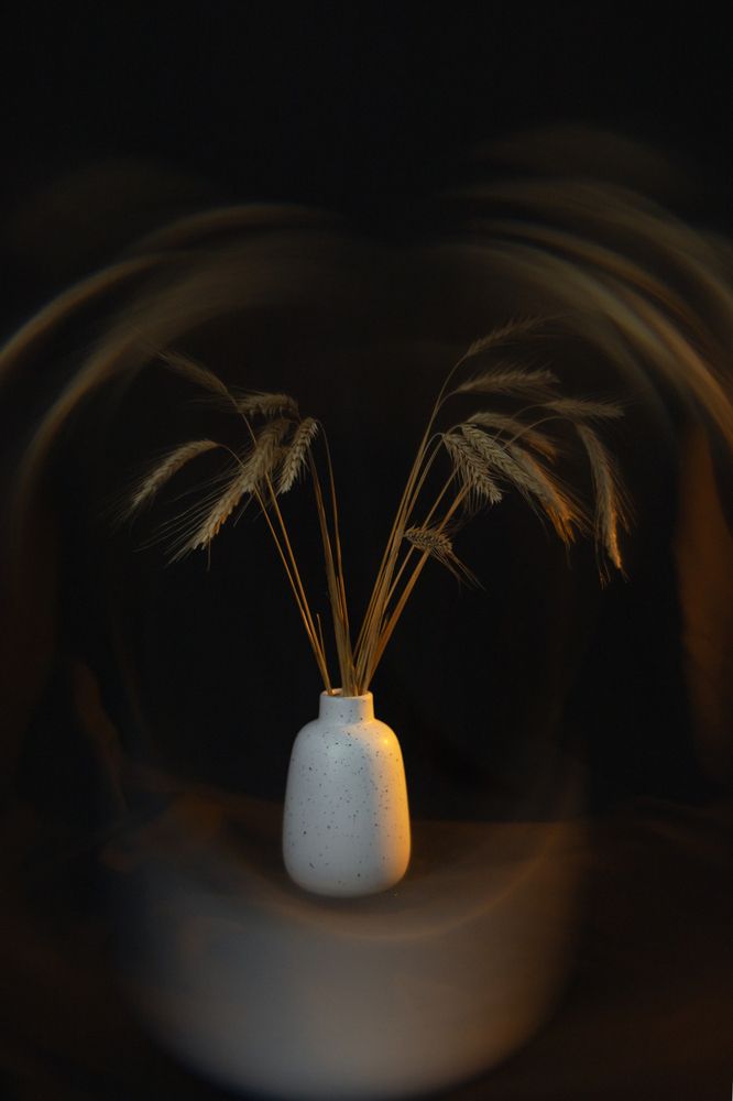 Photograph by Лилия Гарипова