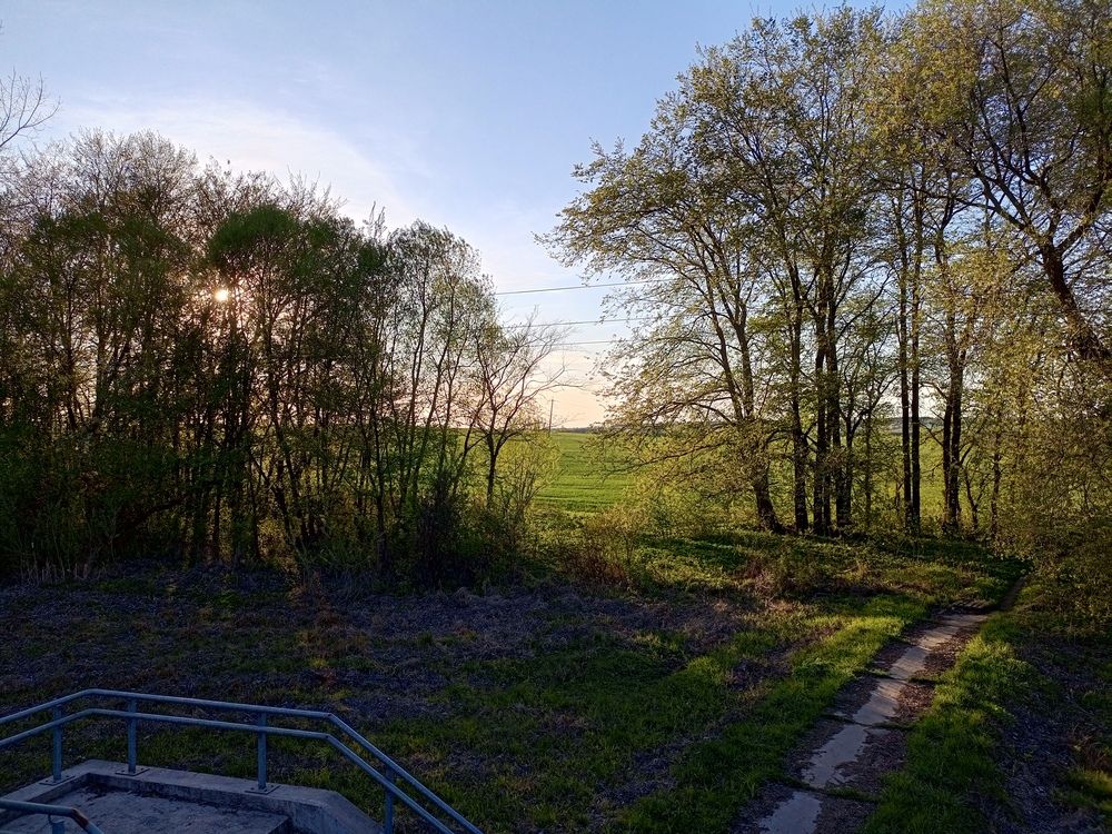 Photo #12161282
