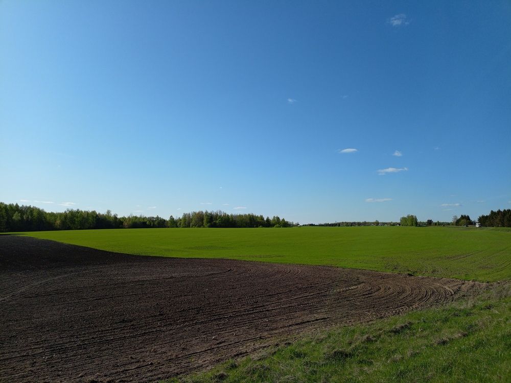 Photo #12161286