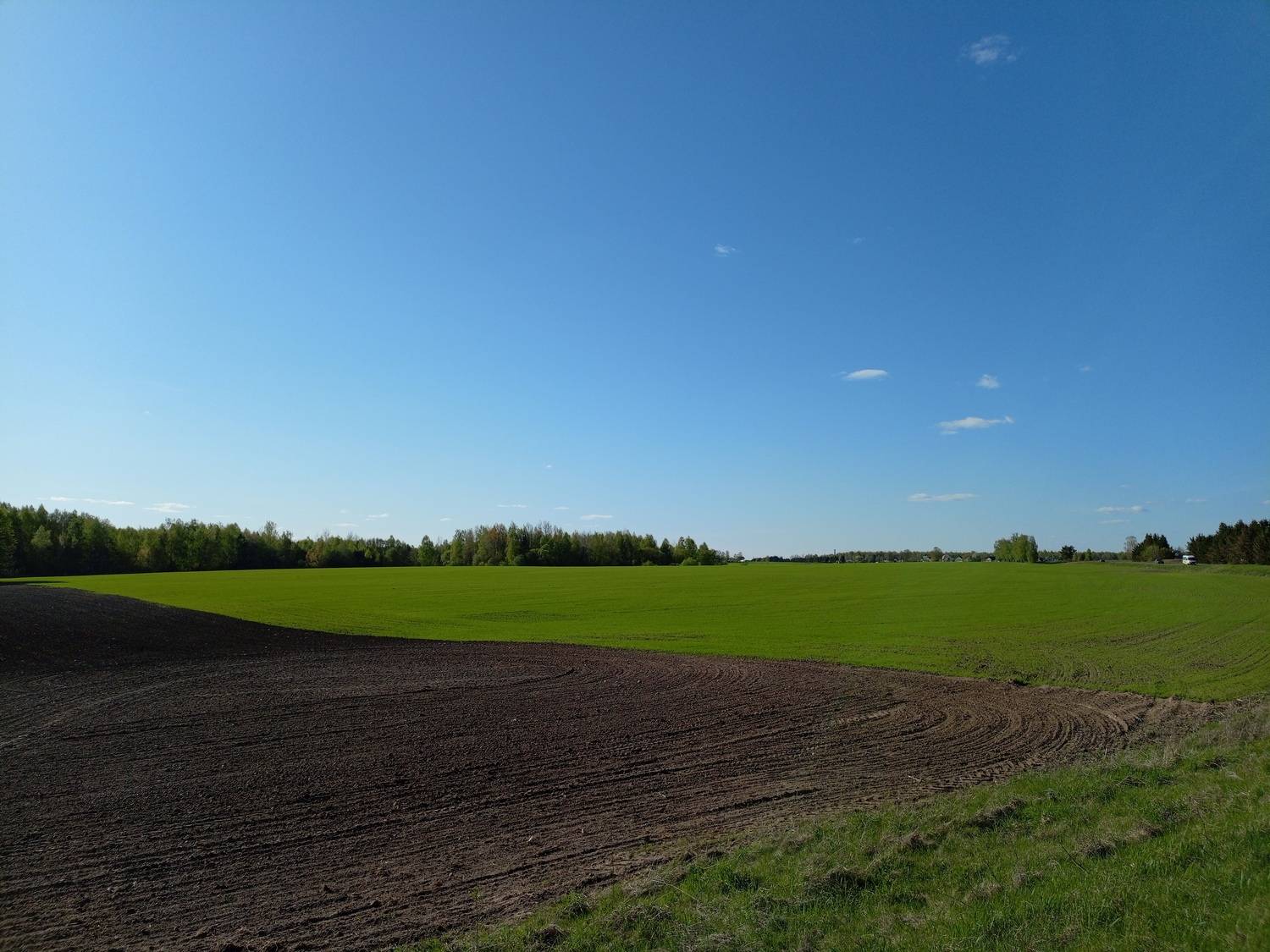 Photo #12161286