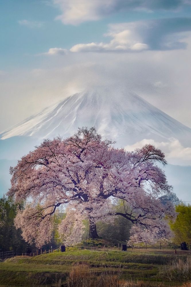 Photograph by Henri Fitriadi