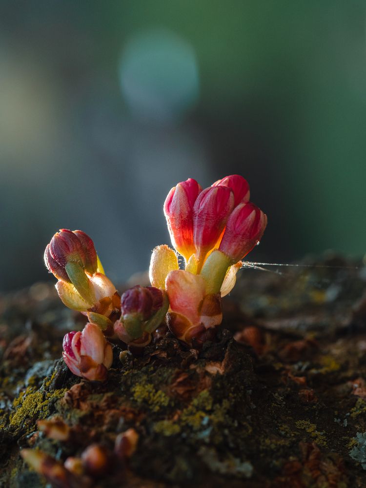 Photograph by Ирина Протченко