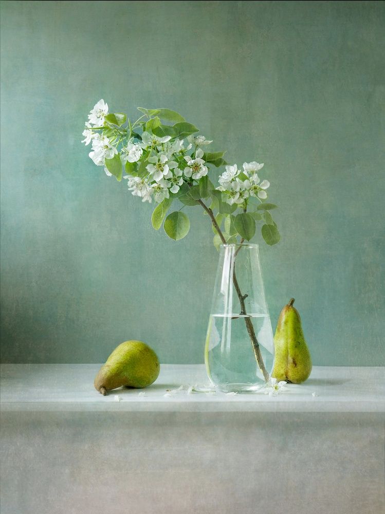 Photograph by Нина Кулинцева